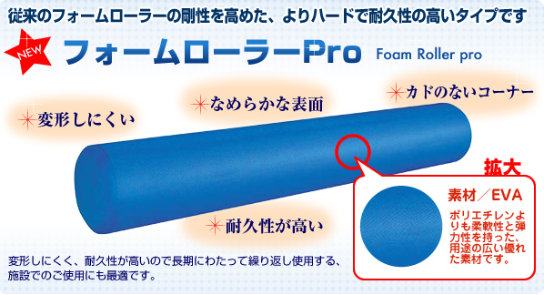 �ե���������顼pro