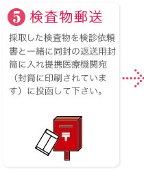 5.����ʪ͹��